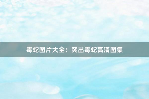 毒蛇图片大全：突出毒蛇高清图集
